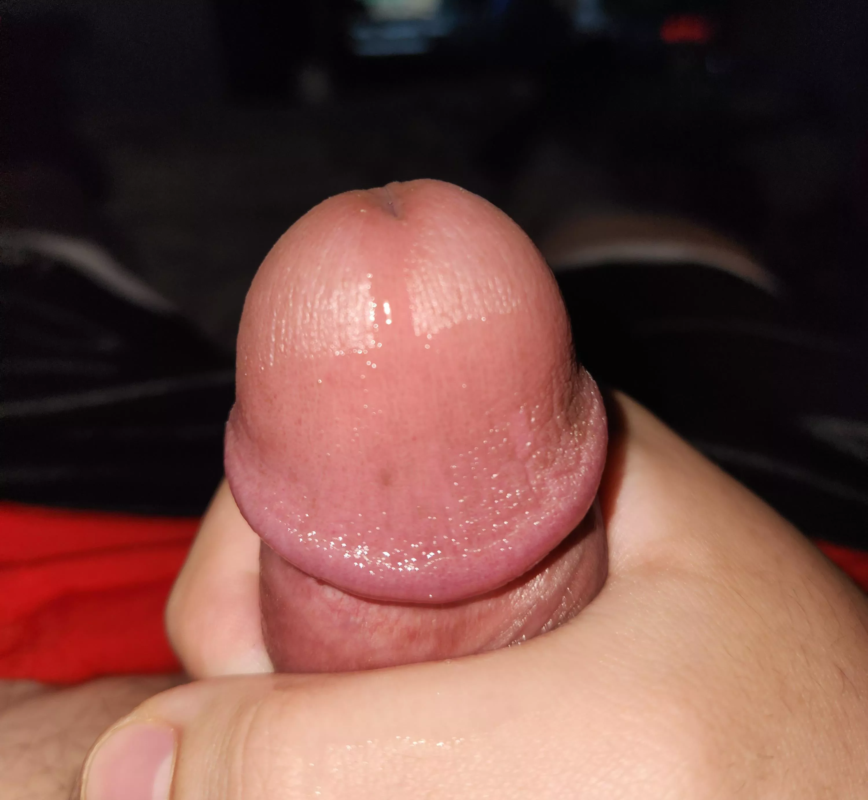 covered in precum