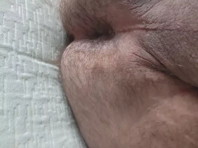 fuzzy wuzzy had a hole? 27 very submissive 🐻