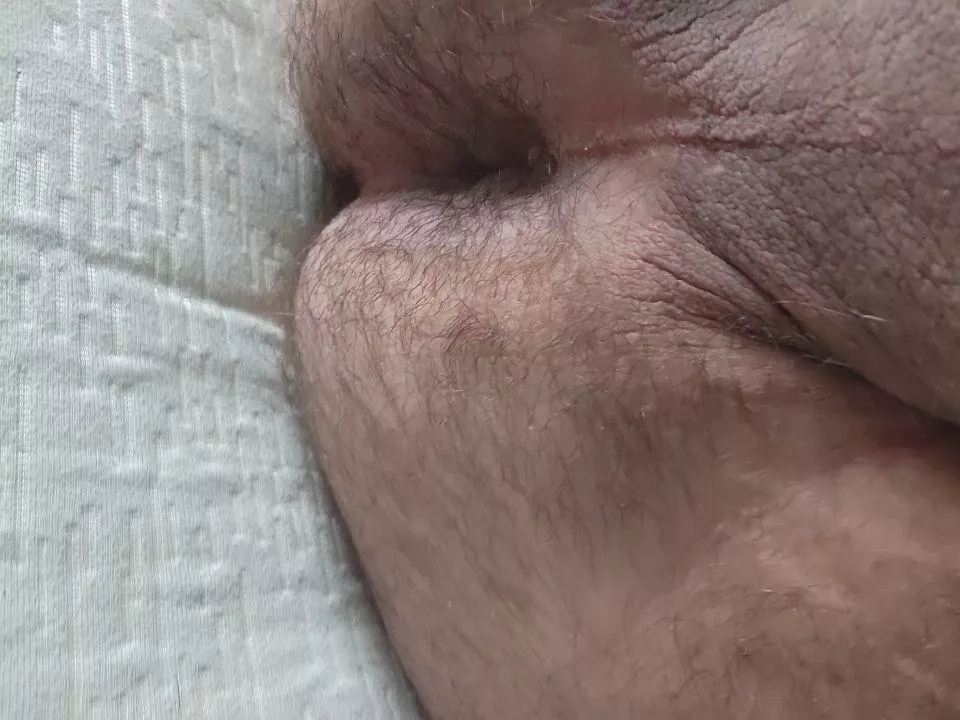 fuzzy wuzzy had a hole? 27 very submissive 🐻