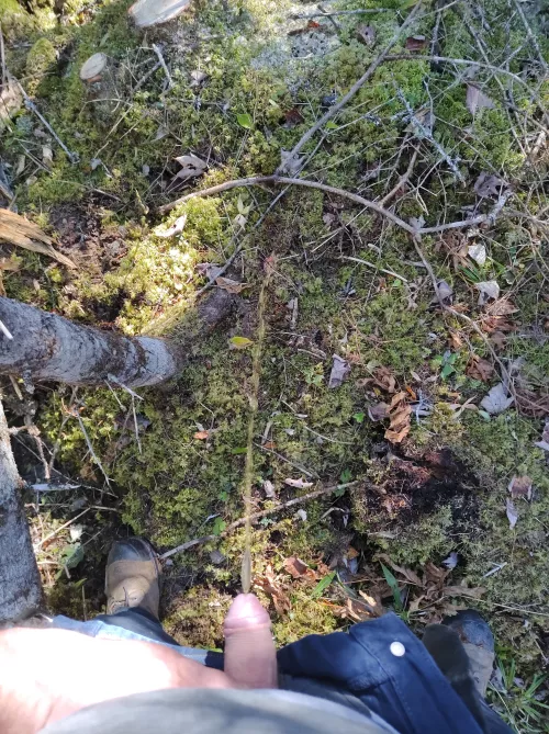 Giving back to nature