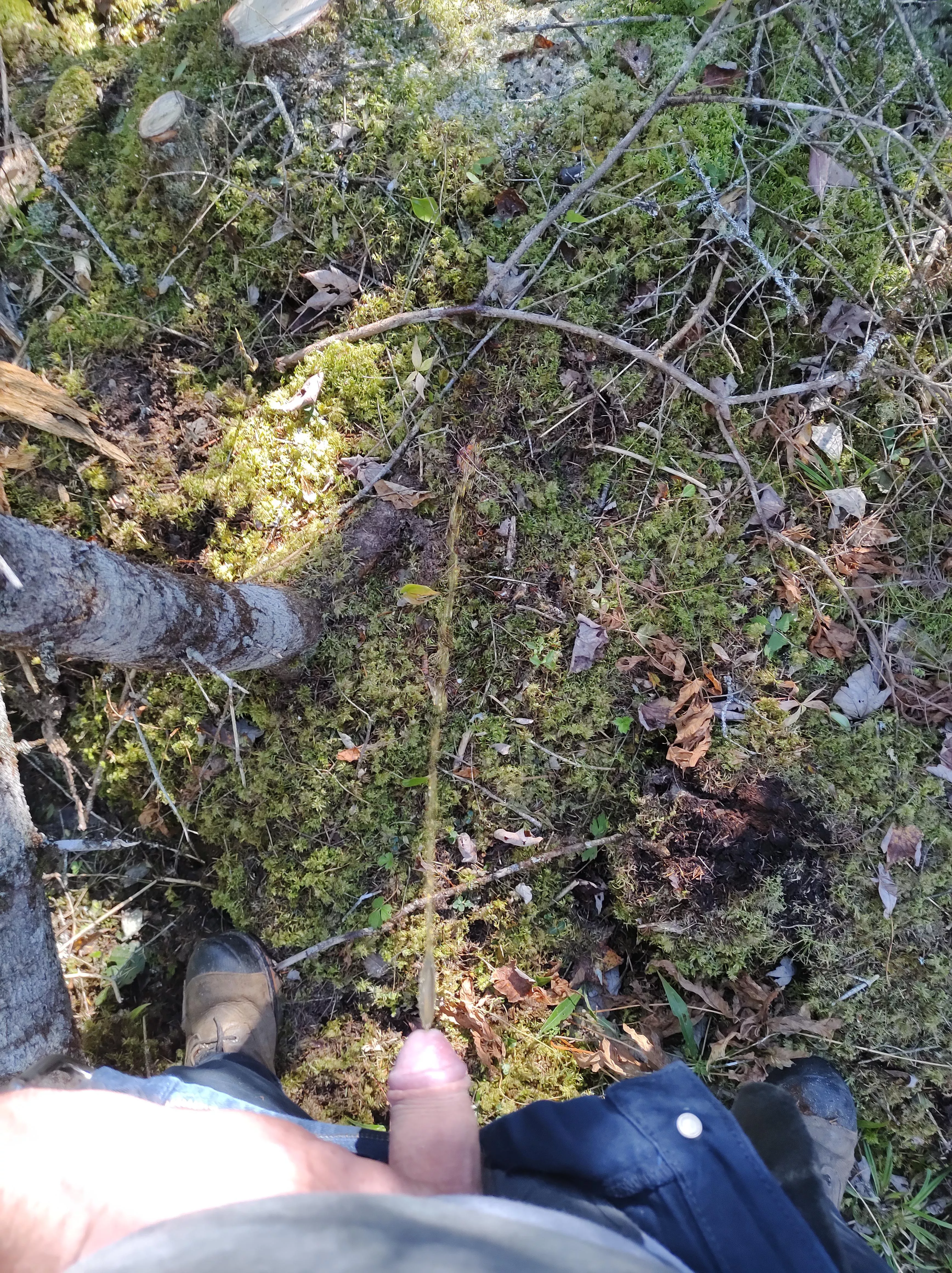 Giving back to nature