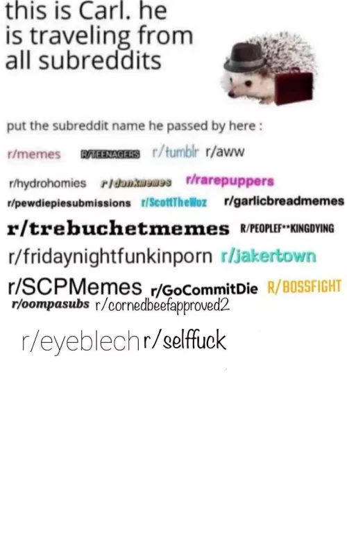 Hope this is alright