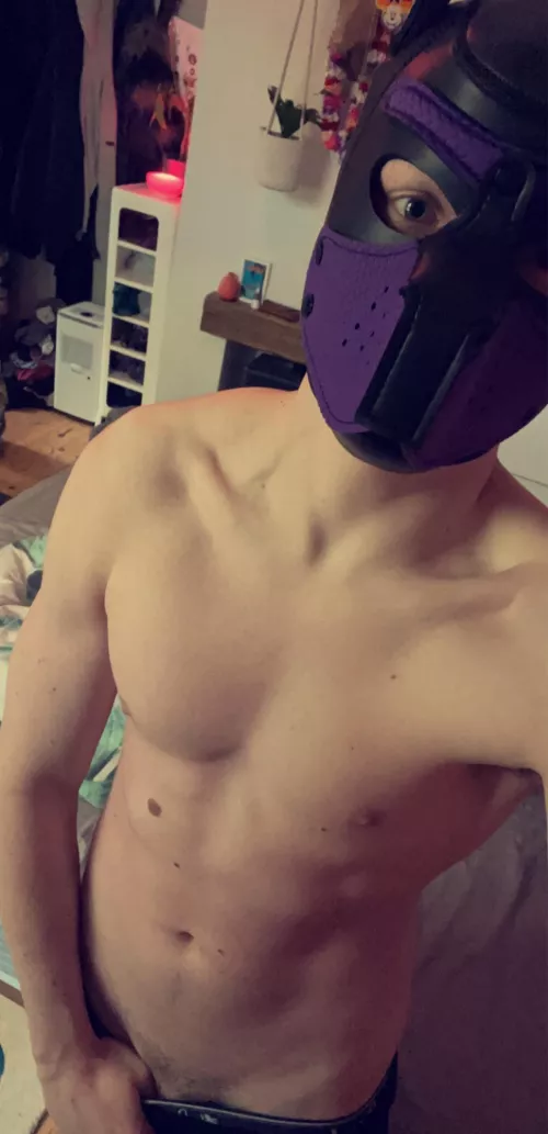 Horny pup needs UK handler 😈