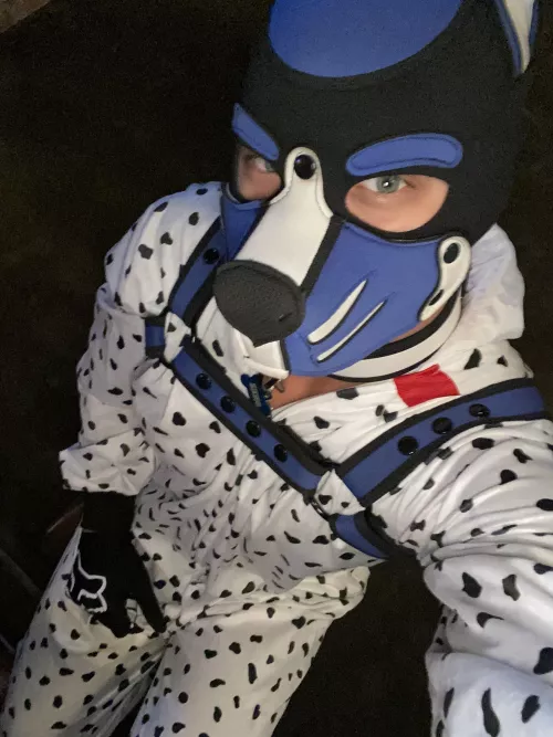 I have 101 problems but being a Dalmatian ain’t 1… at least for today… Then back to being a Doberman.