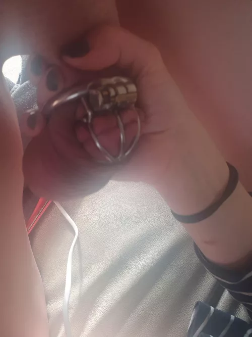 Look at this baby cock.