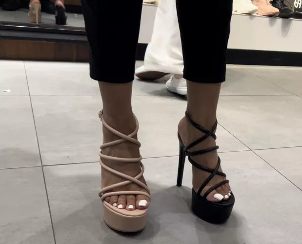 Miss me? Which should I buy?