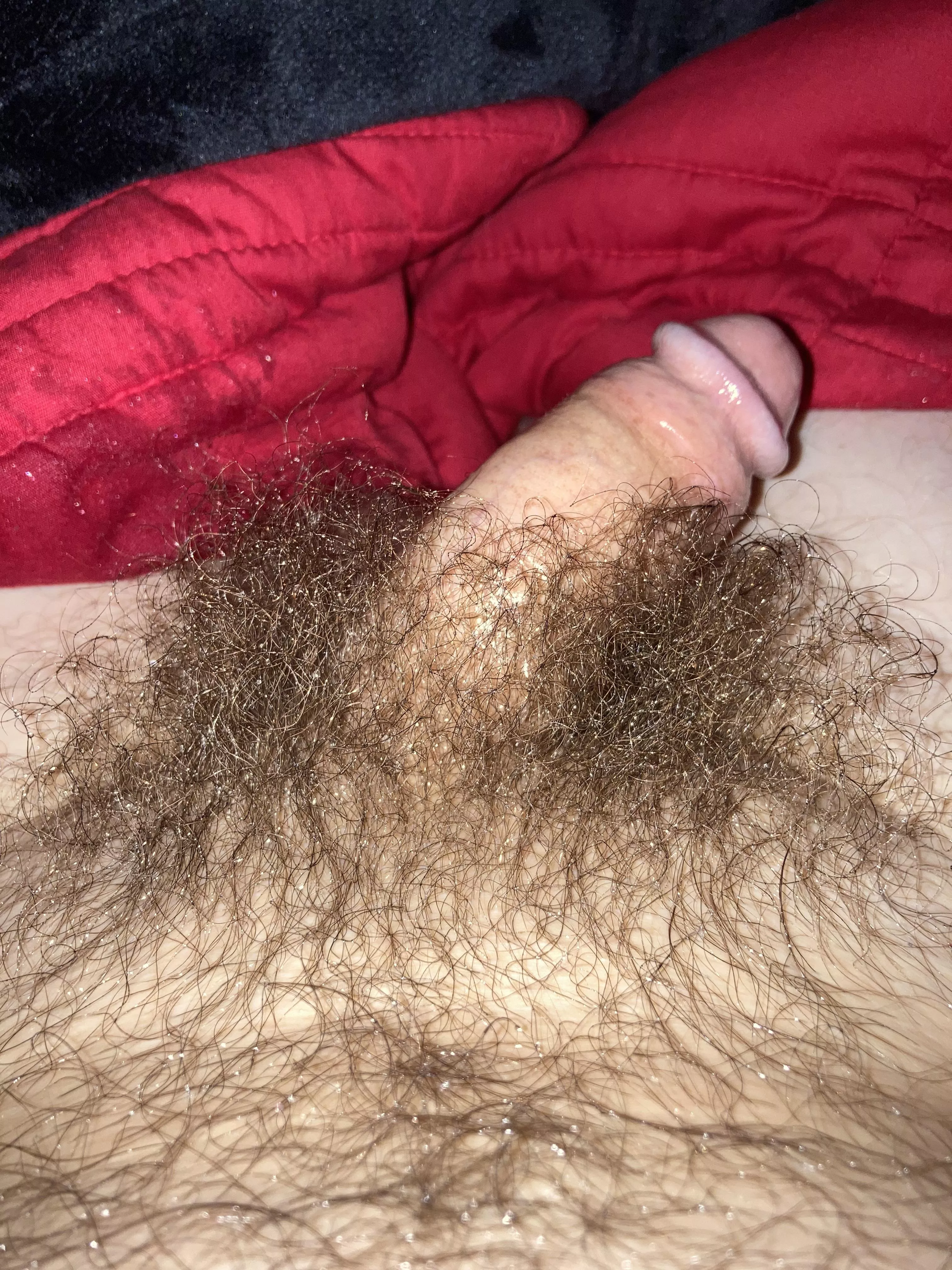 My pubes are long now