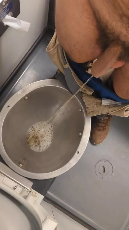 Peeing in a German train 🚂🚃