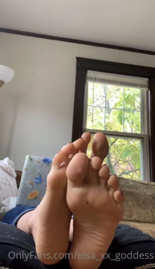 POV you watch me while I study 😉