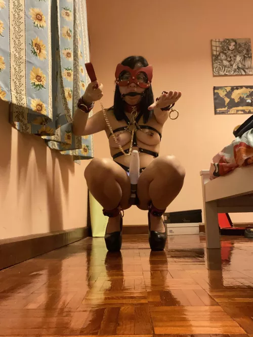 Ready To Be Walked [F]