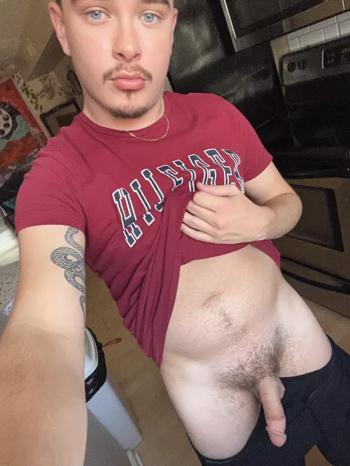 softie out in the kitchen… what would you do if you were my roommate and saw this?