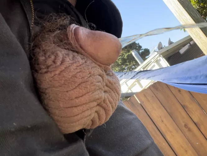 Stepped out back for a quick piss