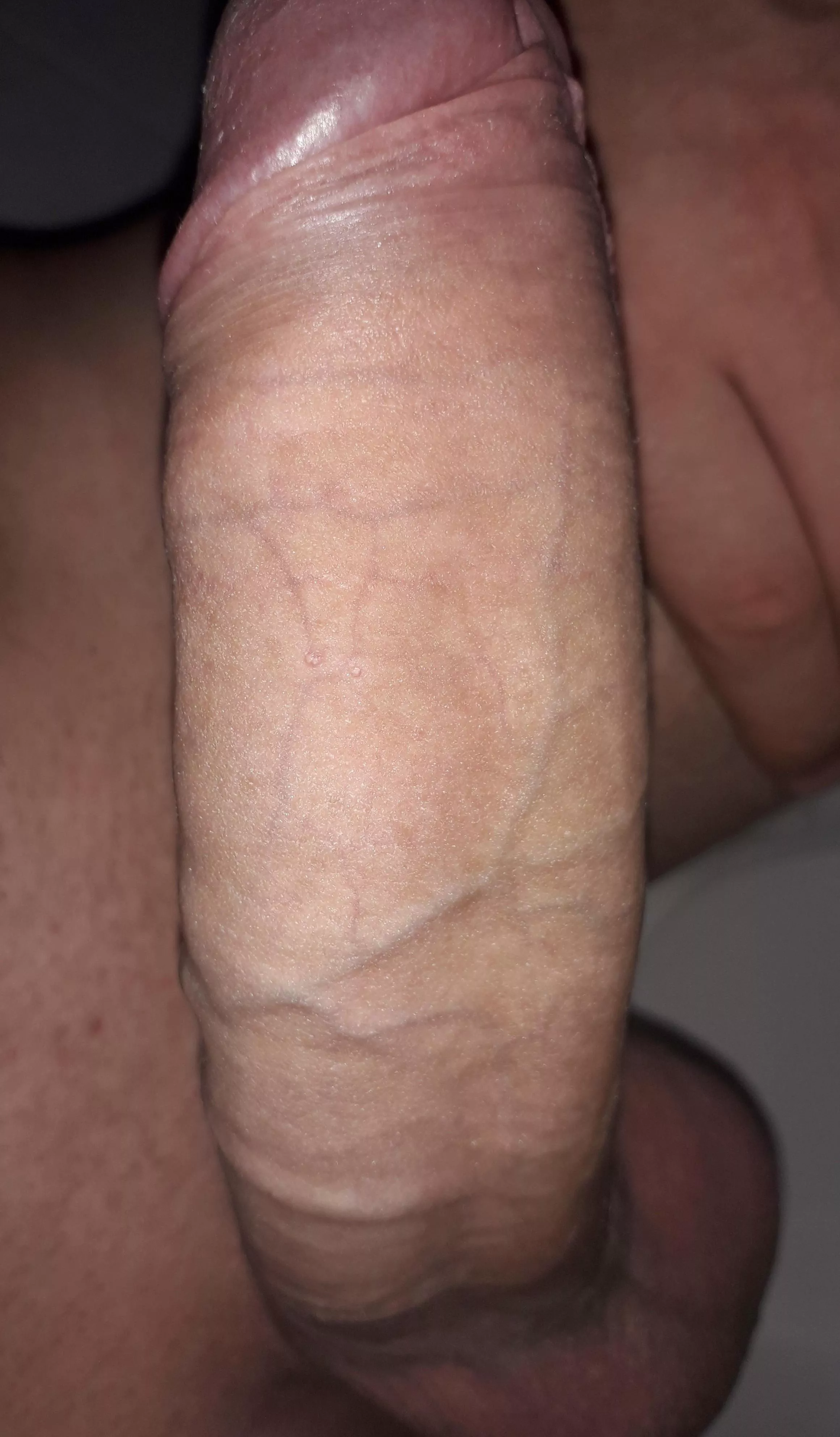 What do you think of my dick?