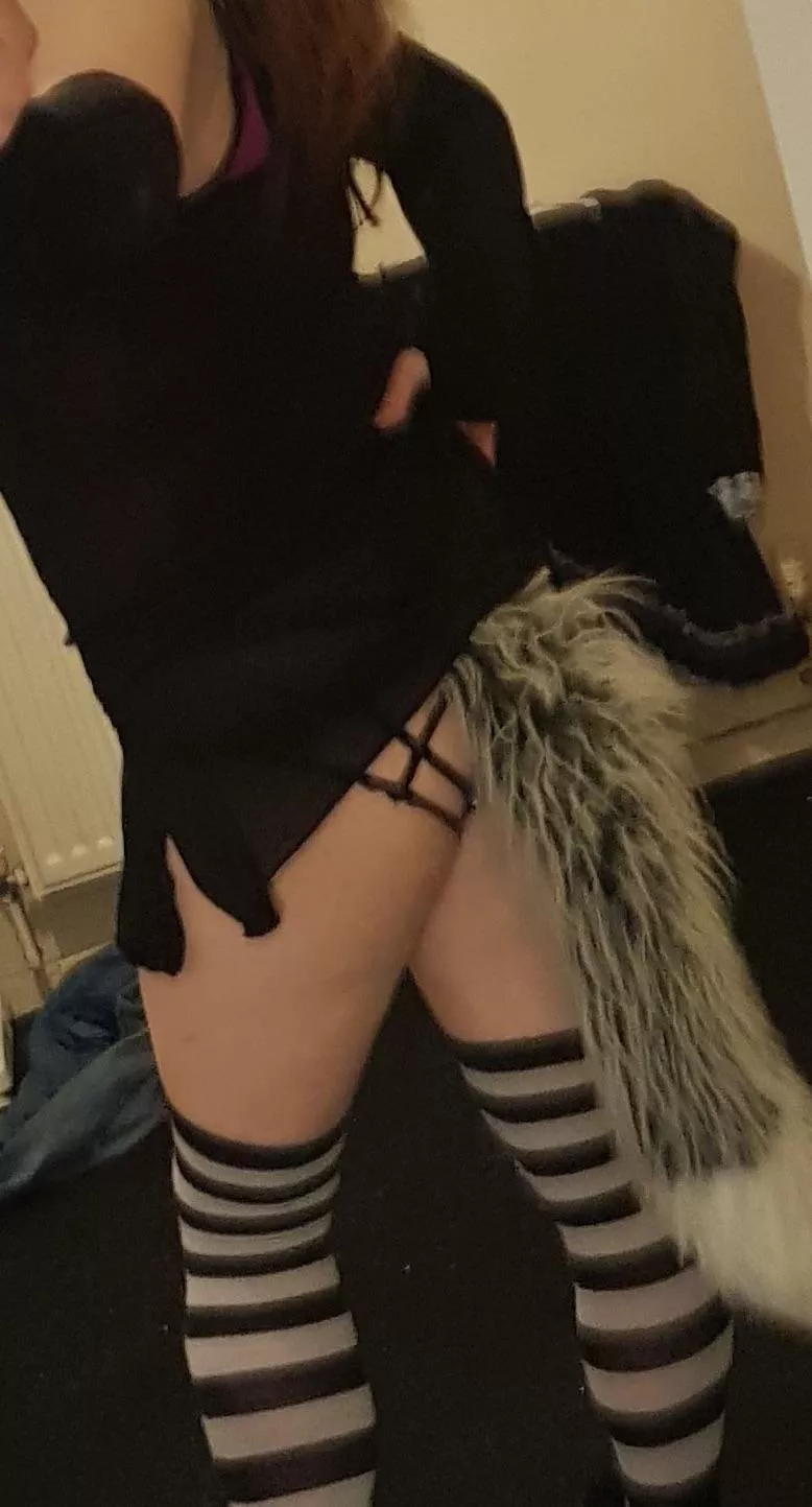 Who what’s to pull my tail out first.