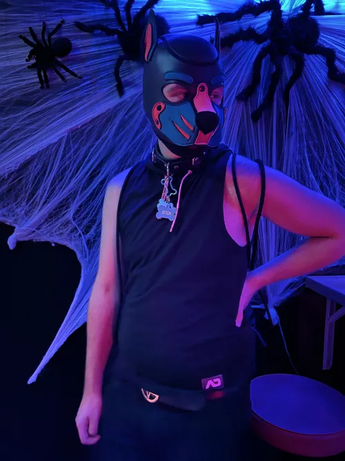 Who‘s ready for Halloween ?