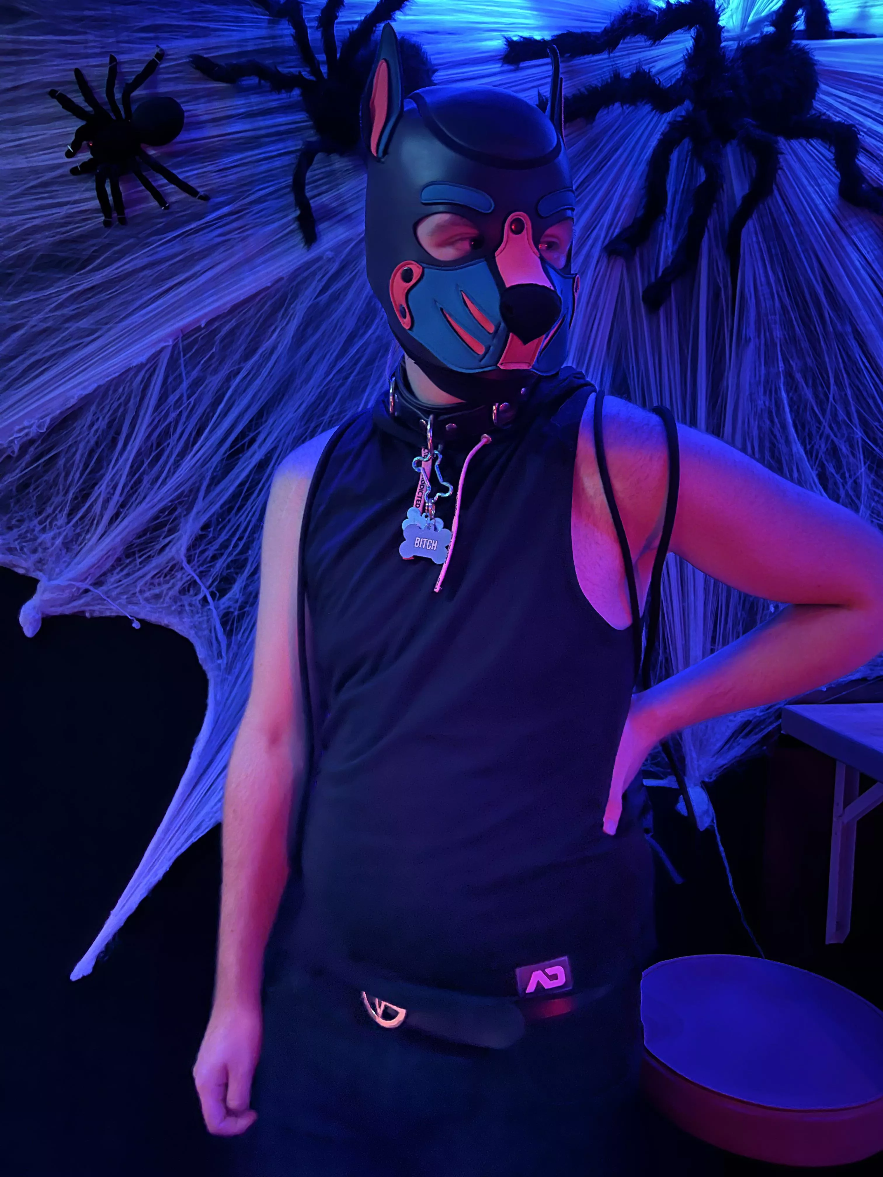 Who‘s ready for Halloween ?