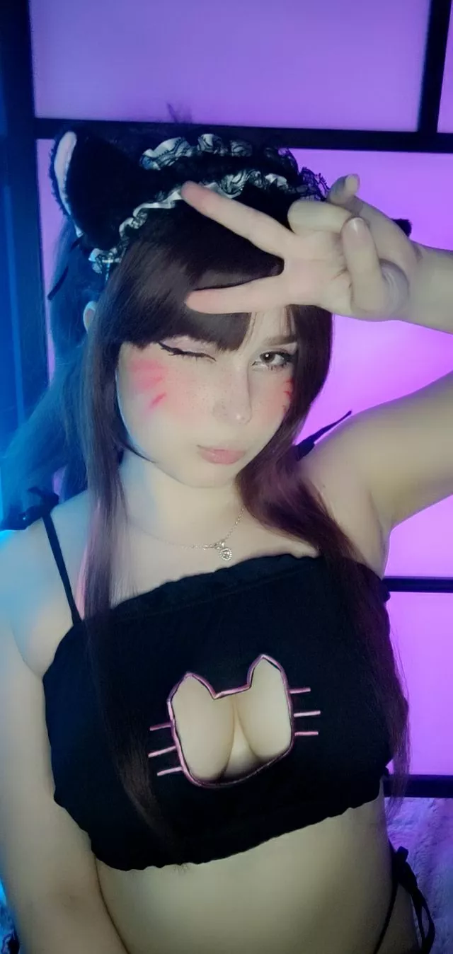 your cute Kitty ready for action!