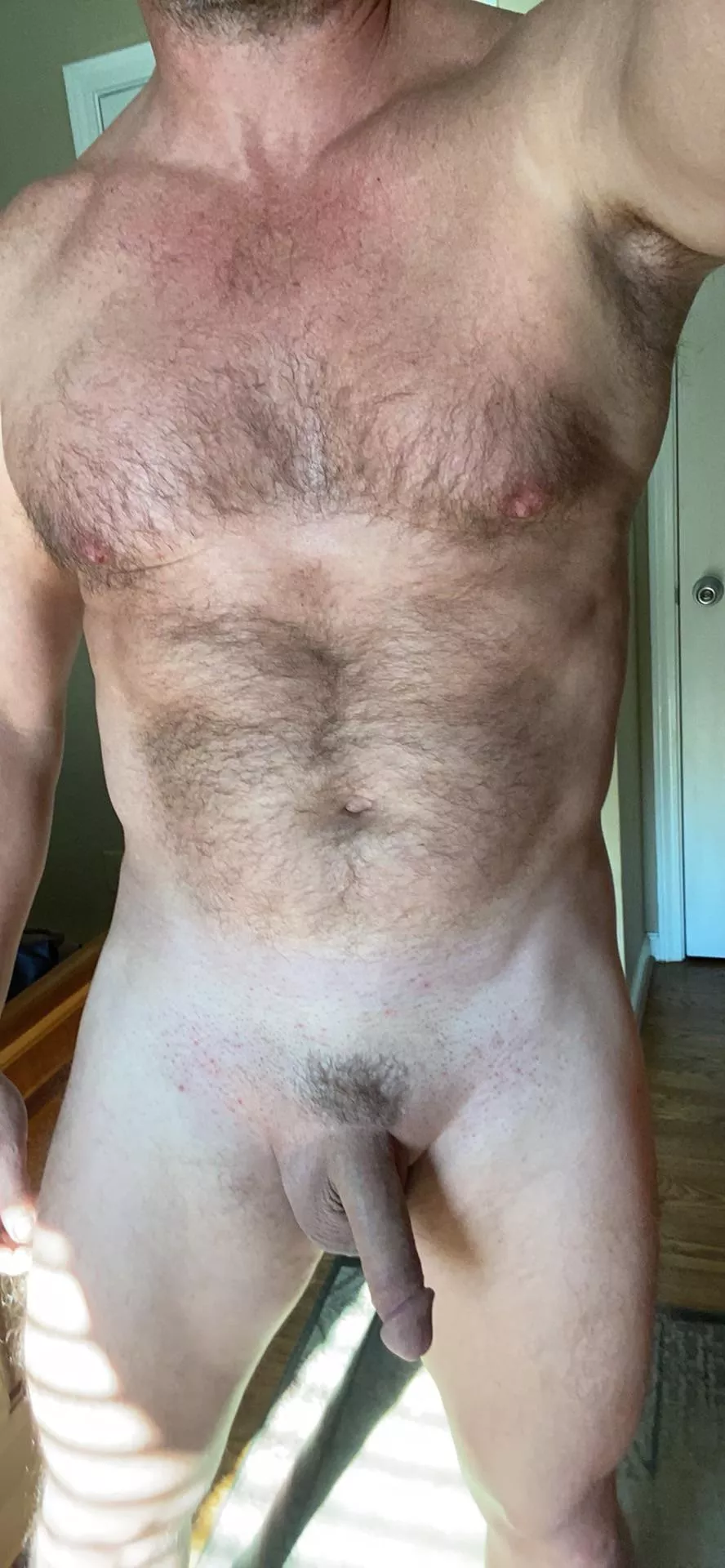 (53), afternoon sunlight