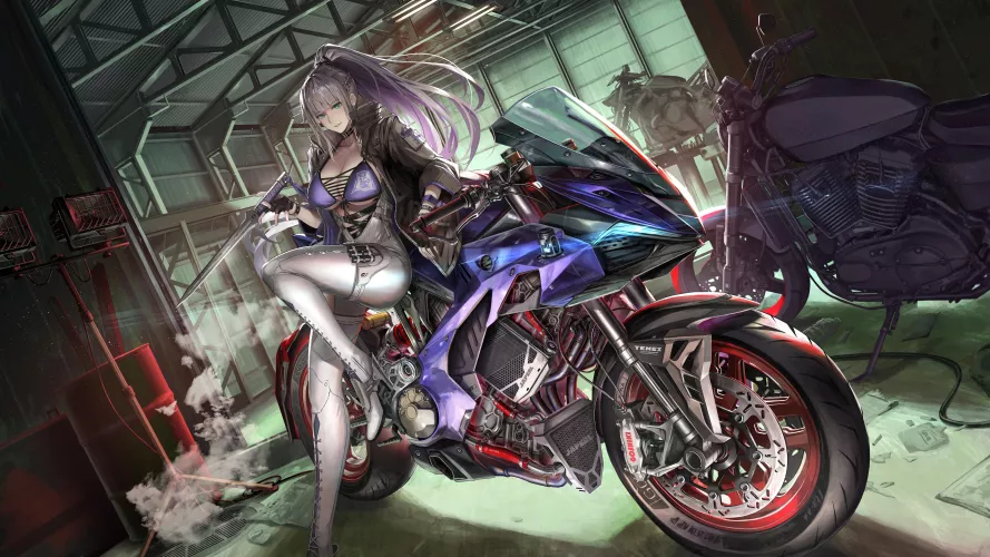 Baiyi Biker (Nihoshi) [Wuqi Mitu]