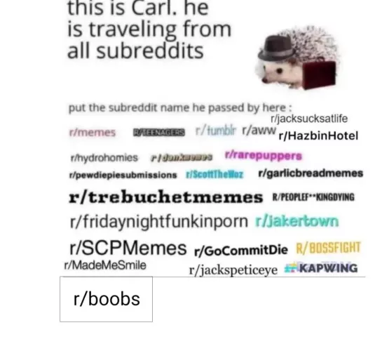 Carl nooo wrong subs WRONG SUBS