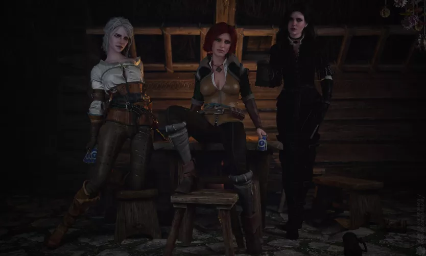 Ciri, Triss and Yennifer (MissAlly)