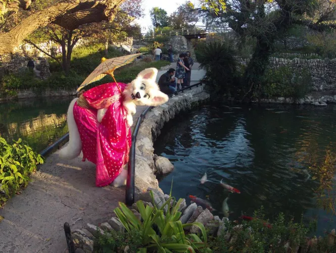 Come look at the fishies with me!