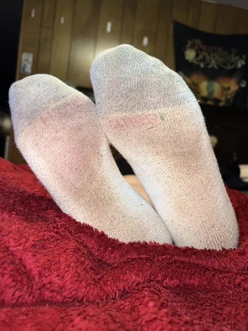 Dirty white socks. Sniff sniff.