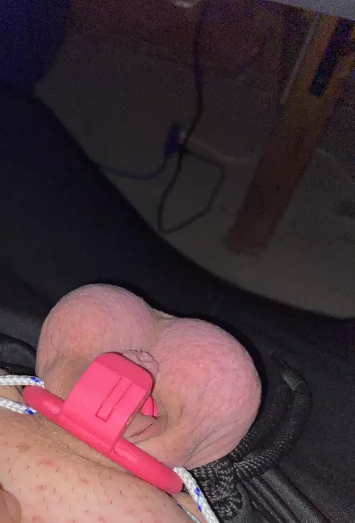 I got a new cage and mistress said if I get to a month caged I should be locked permanently