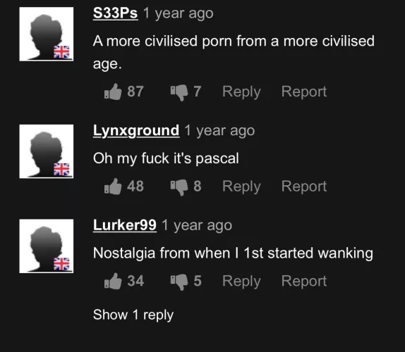 It’s come to this: We’re reminiscing over the early days of internet porn.