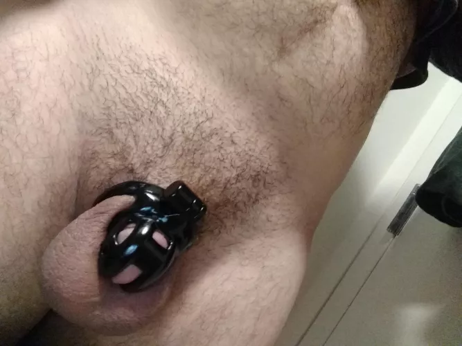 Joined the club today! My new baby cobra fits great!