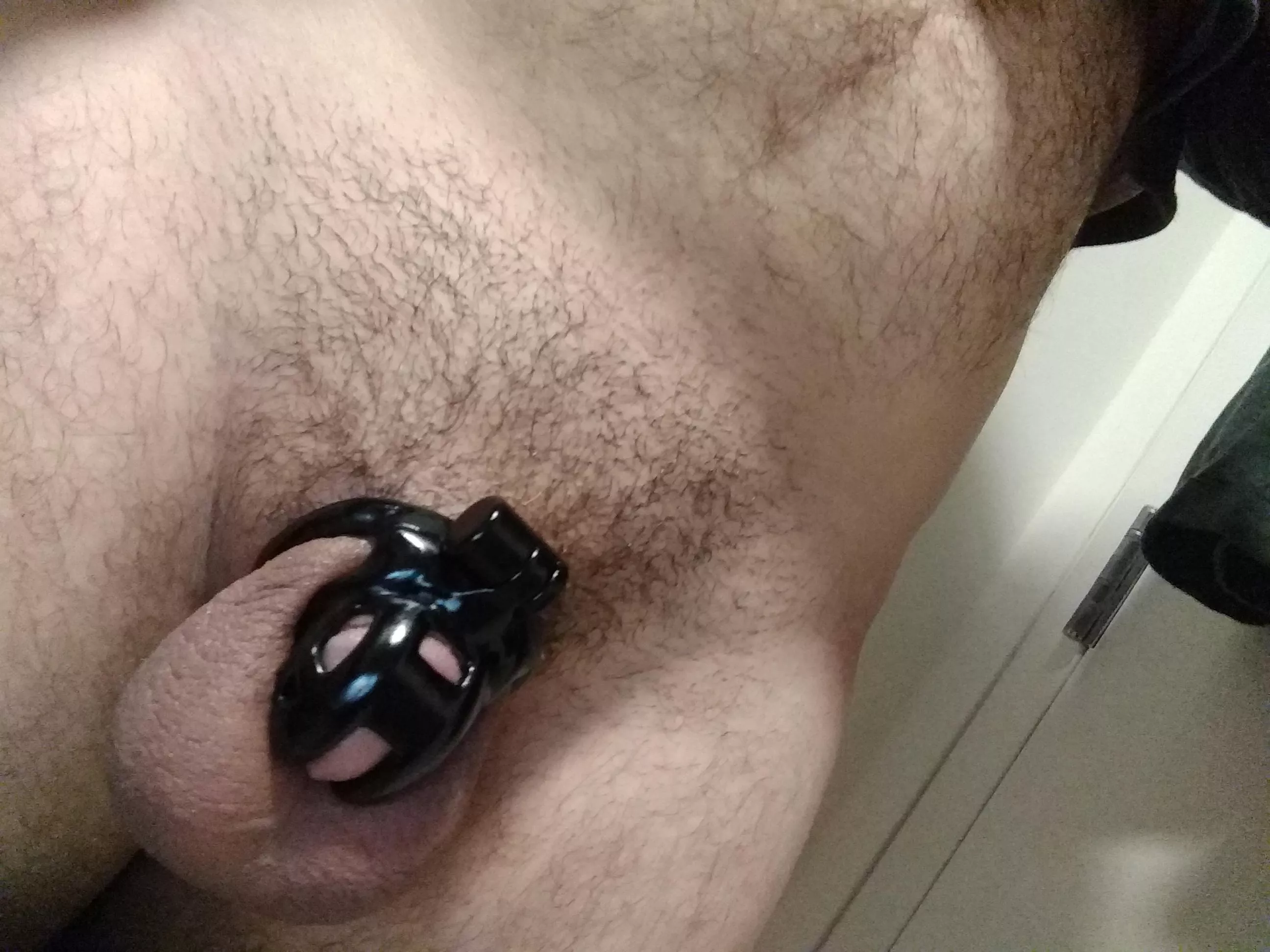 Joined the club today! My new baby cobra fits great!