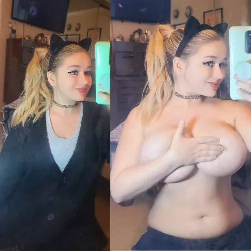 my cat outfit for dress up day at the office