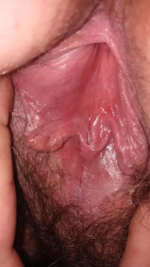 my wife pink pussy spread open