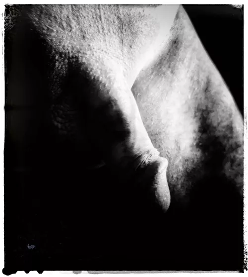 Rising from the shadows