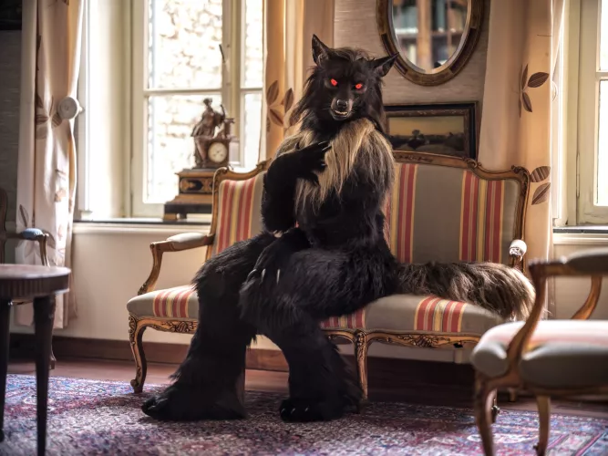 @shaqualhound on Twitter