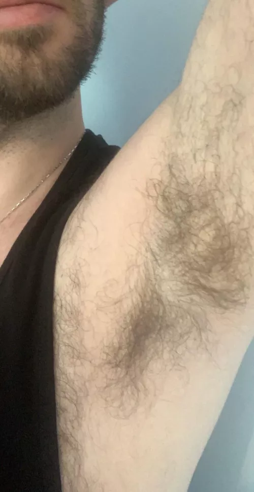 They’re getting a bit bushy