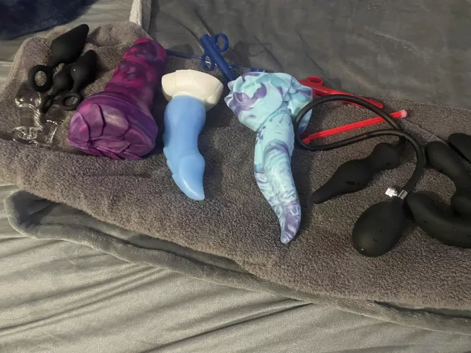 Time for some fun with my dragons ;3