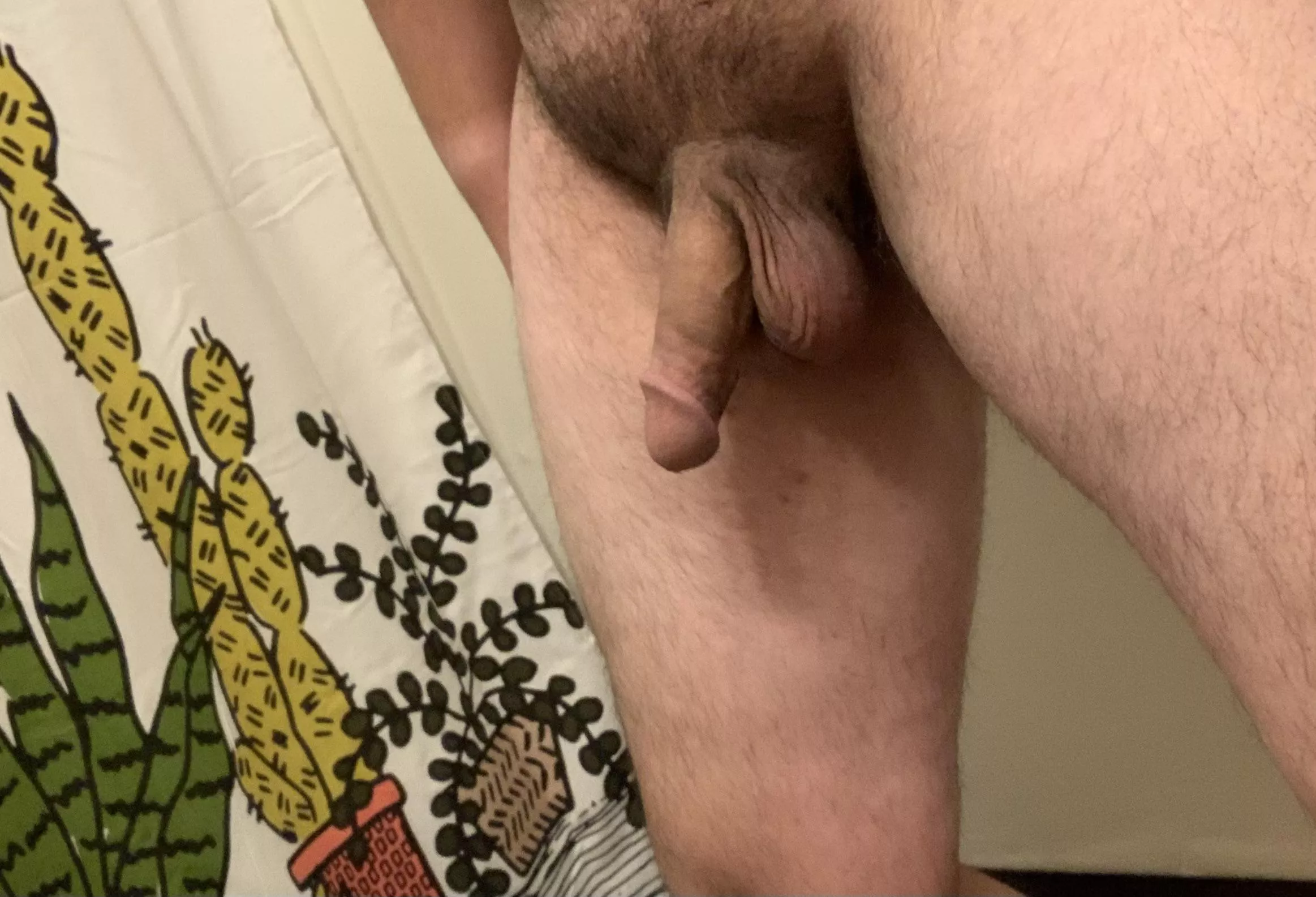 Upvote if my softie is bigger than yours