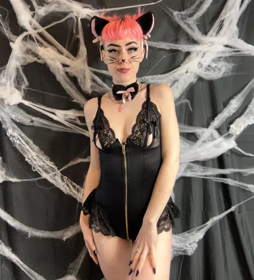 What are you going as for Halloween