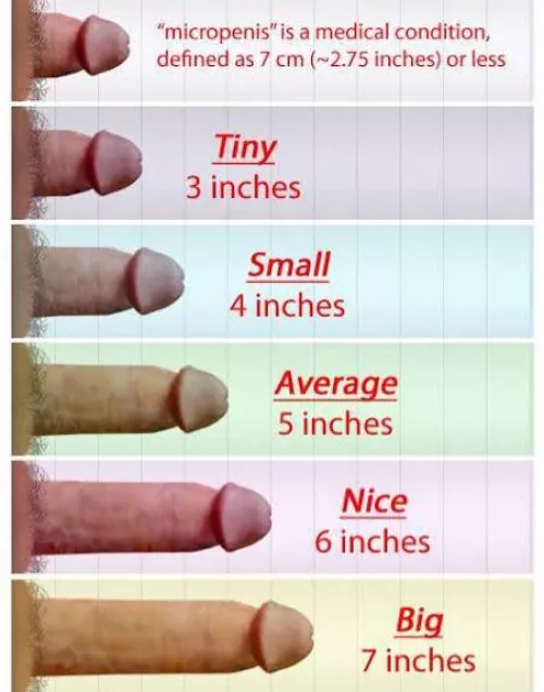 Where are you ranked?