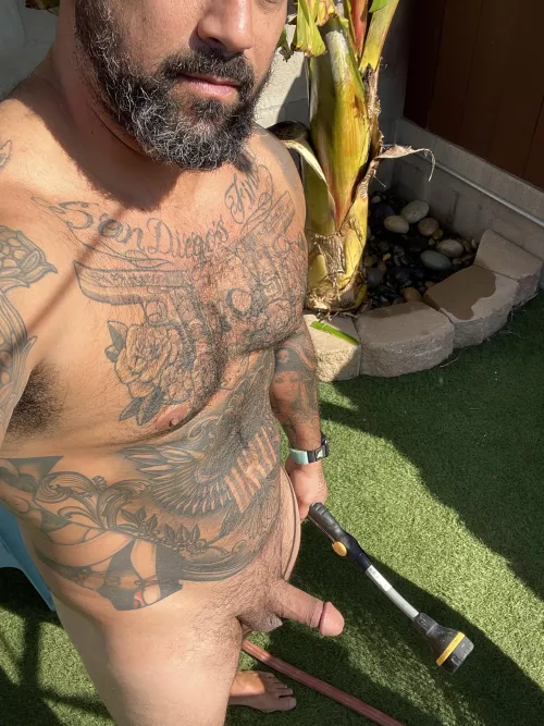 Who wants to be watered next