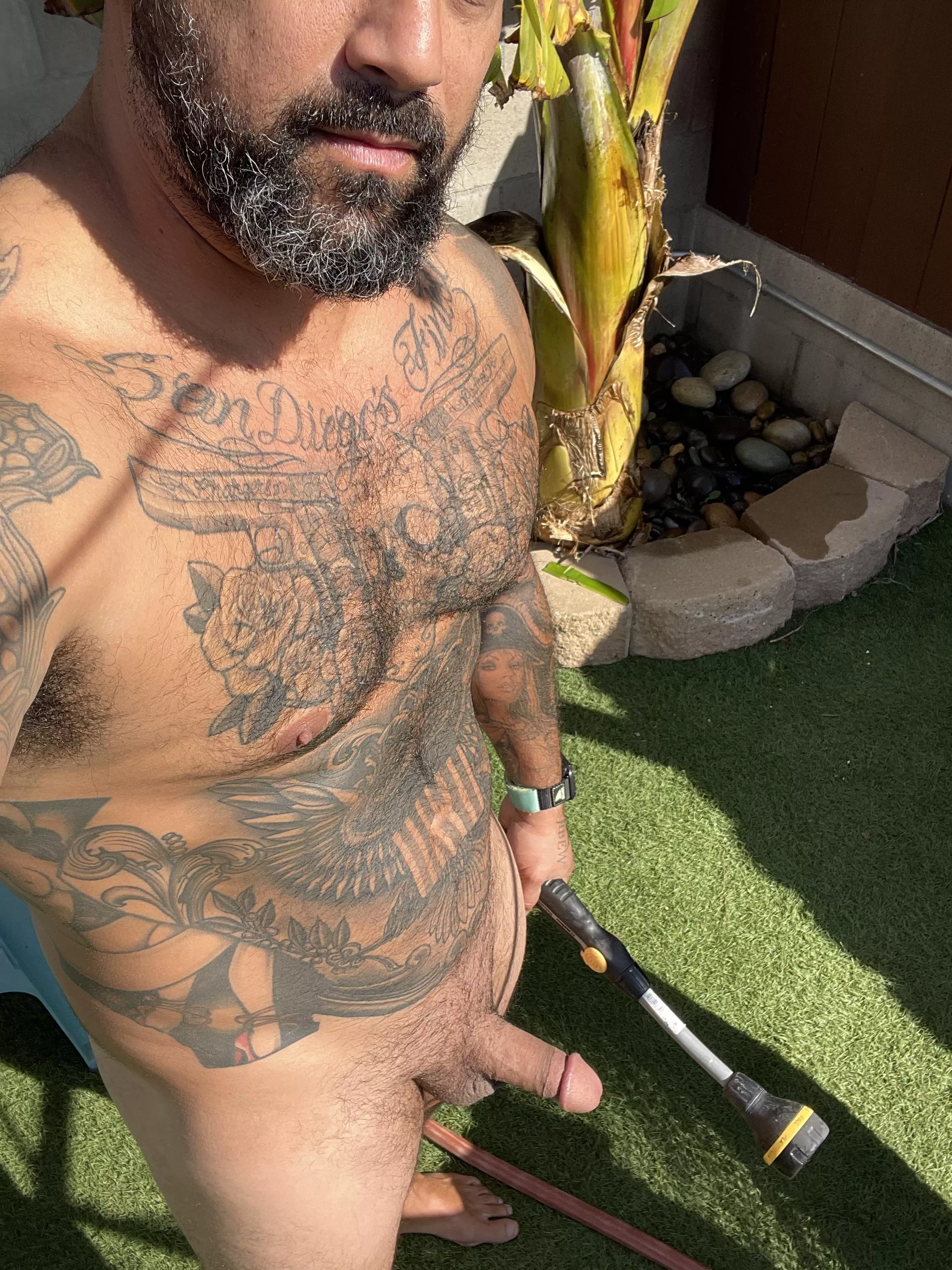 Who wants to be watered next