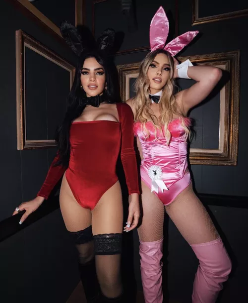 Bunnies