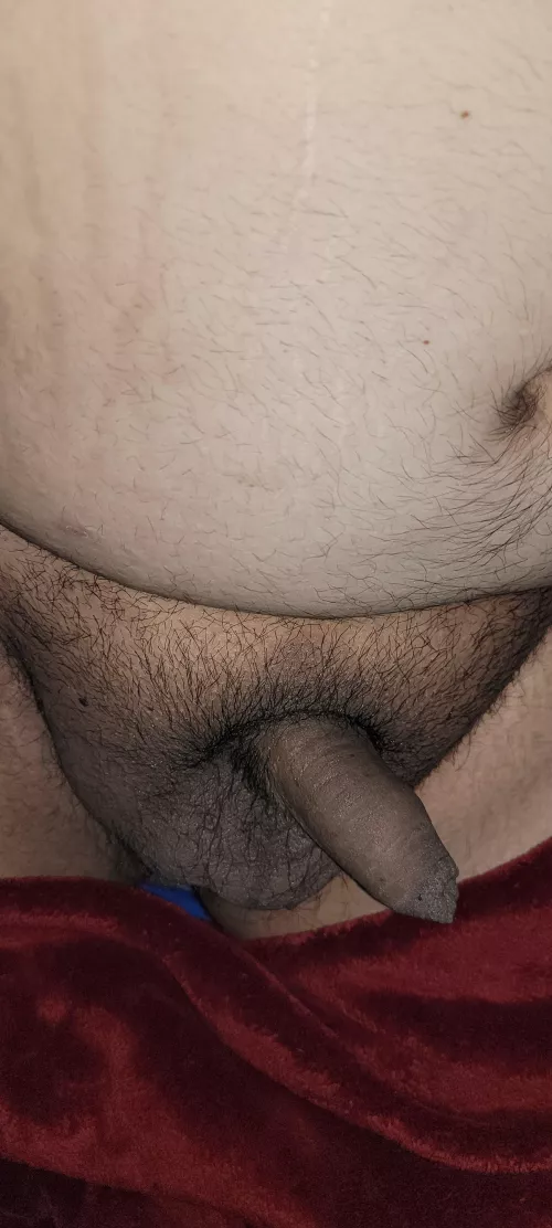 chubby here looking for some love