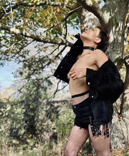 Enjoy the golden autumn