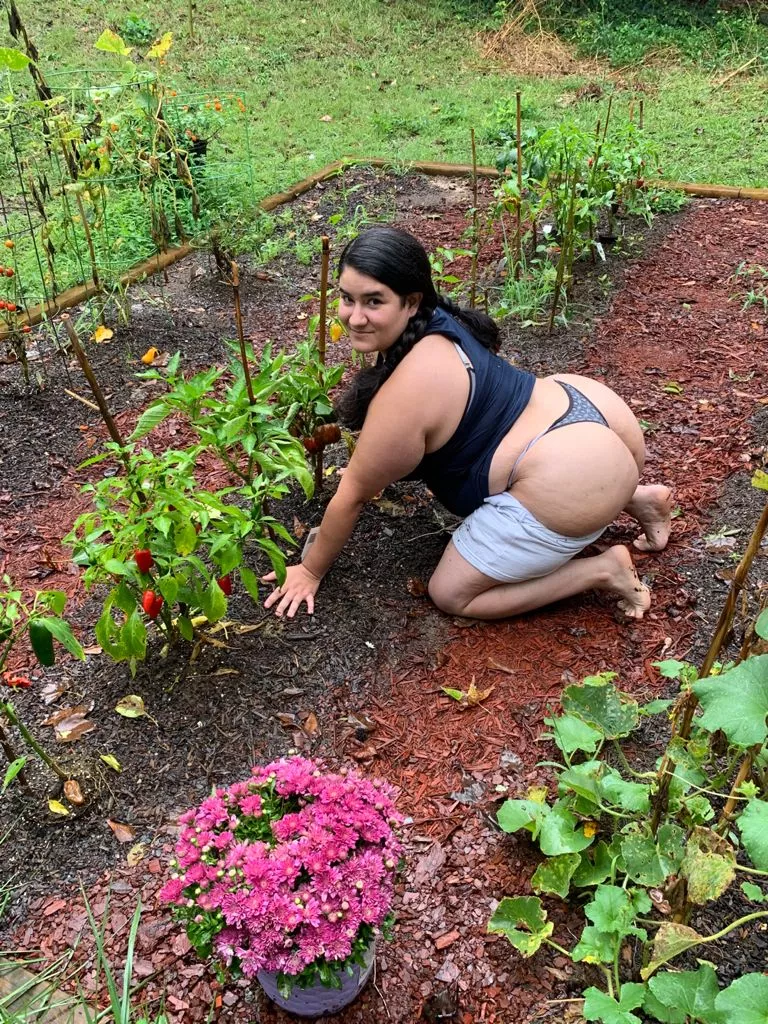 Feeling cute in my garden [F]
