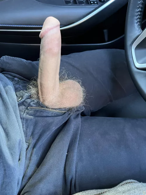 give me road head and suck my hairy balls