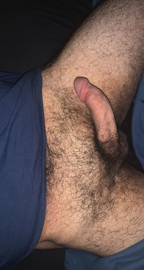 Hairy cock for ya ;)