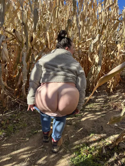 Having fun in the corn maze! Dm me for a surprise 😉