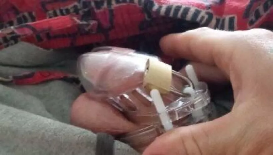 Let me train and get you locked in chastity,